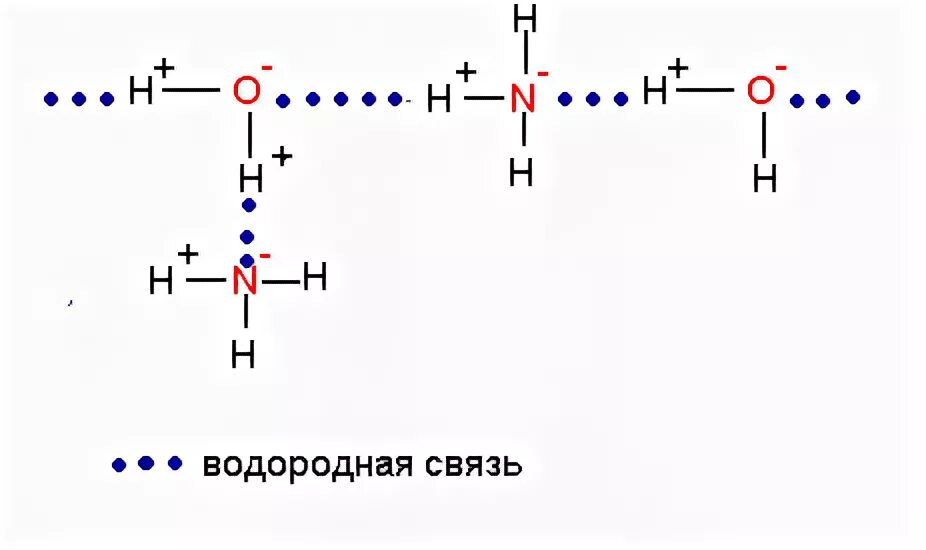 Nh 3 связь. Схема образования водородной связи nh3. Водородная связь между молекулами воды схема. Водородная связь схема образования связи. Образование водородной связи в аммиаке.