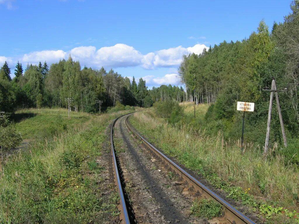 Правит новгородской области. Деревня ситно Новгородская область. Станция 169 км Новгородская область. О.П. 128 км Новгородская область. Белый лес Новгородская область Угловка.