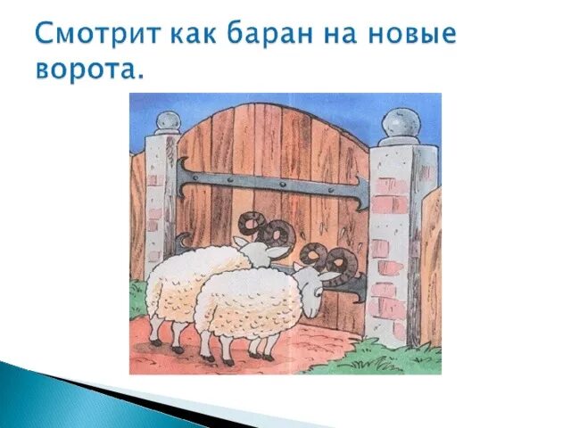 Как баран на новые ворота фразеологизм. Баран смотрит на новые ворота. Как баран на новые ворота значение фразеологизма. Поговорка глядеть