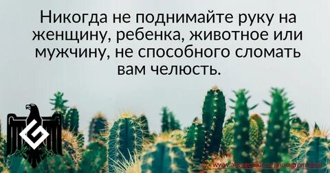 Никогда не поднимай