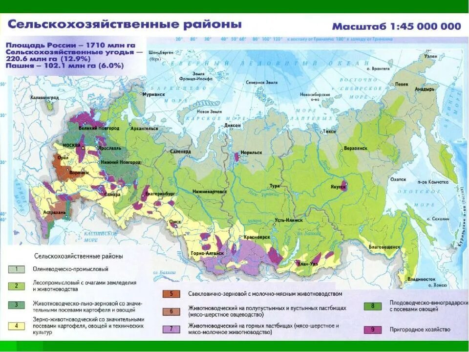 Контурная география сельское хозяйство. Сельскохозяйственные районы России на контурной карте. Районы пригородного сельского хозяйства в России на карте. Специализация сельского хозяйства России карта. Развитие сельского хозяйства России карта.