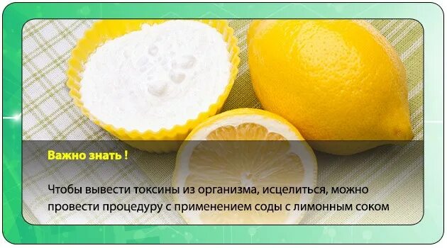 Как выводятся токсины. Вывод токсинов из организма. Как выводить шлаки из организма. Выведение токсических веществ из организма. Что выводит токсины из организма.