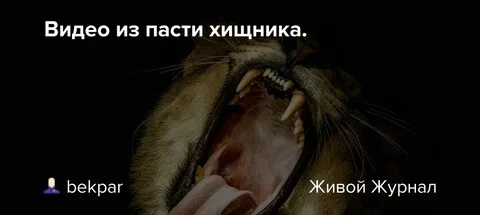 Голодные пасть