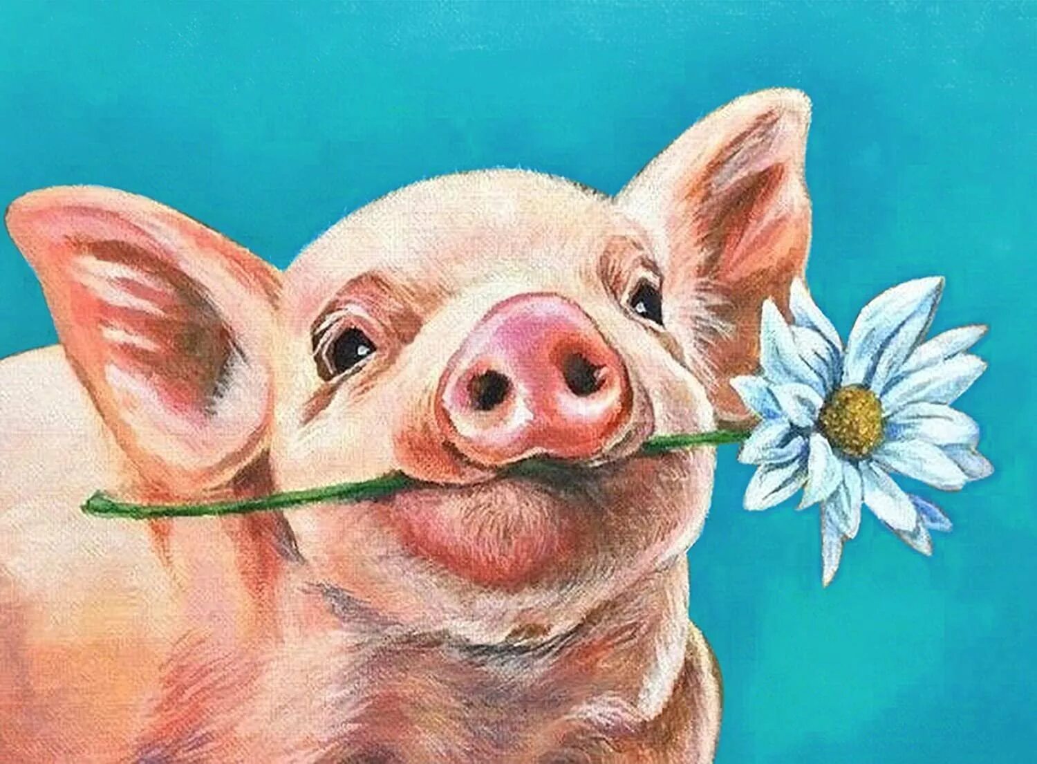 Днем рождения свинка. Свинья с цветами. Свинья живопись. Свинья в цветах. Поросенок с цветочком.