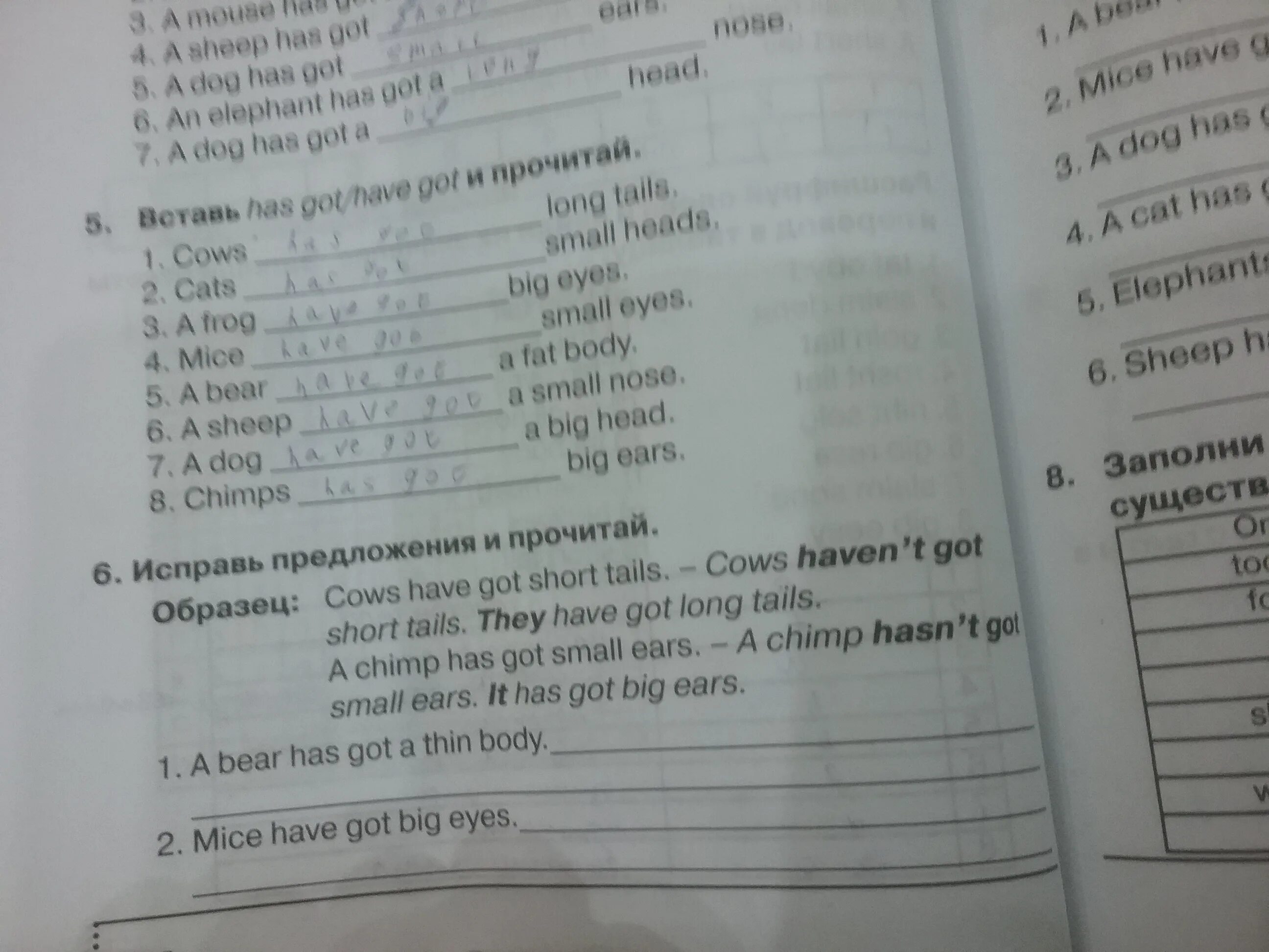 Исправь предложение английский язык. Cows have got или has got. Cows have got или has got long Tails. Have got has got упражнения 2 класс. Вставь has got\have Gok и прочитай.