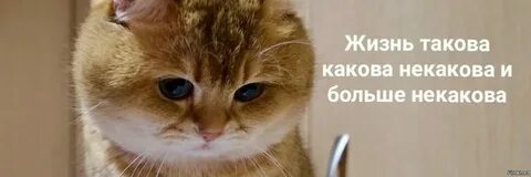 Такова что раз в год