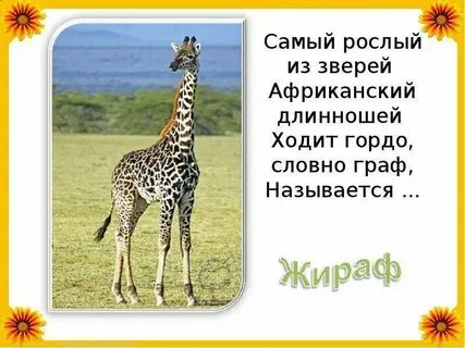 У жирафа пятна детская пятнышки