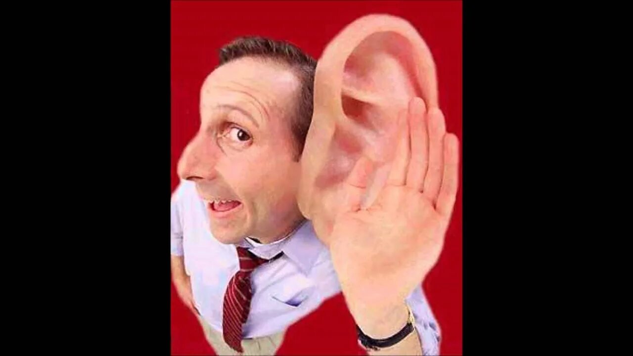 You are all ears