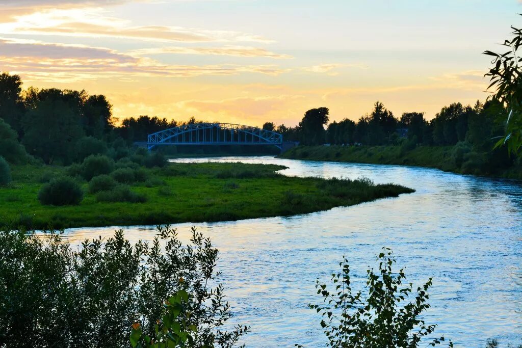 Сайт боровичи новгородский область. Боровичи Нижегородская область. Город Боровичи Новгородской области. Город Боровичи природа. Боровичи природа края Новгородская.