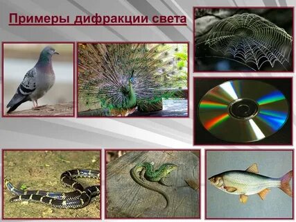 Пример света