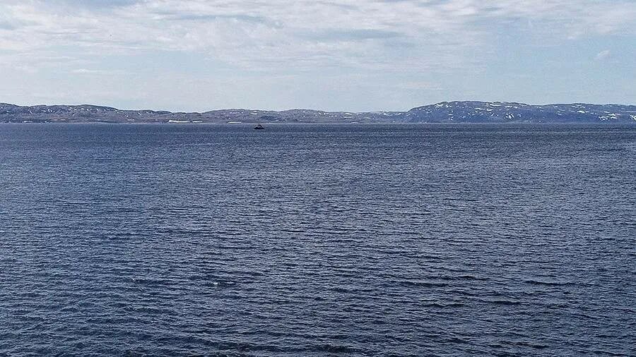 Мотовский залив Баренцева моря. Гимс мурманск