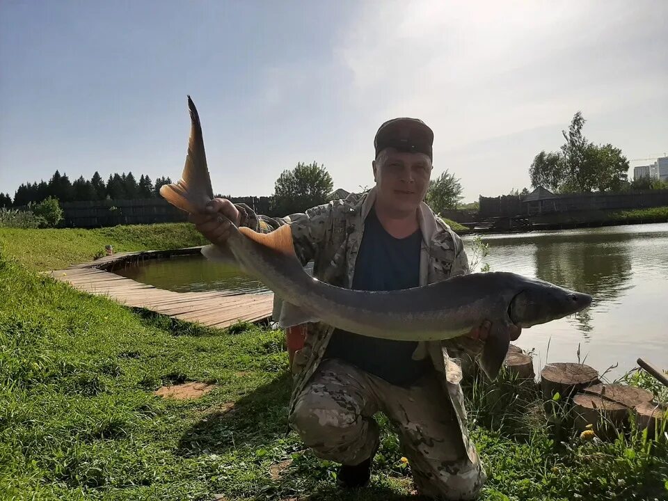 Гнет рыбы. Рыбалка. Рыбалка на карпа. Вечерняя рыбалка. Рыбалка в Кировской области.