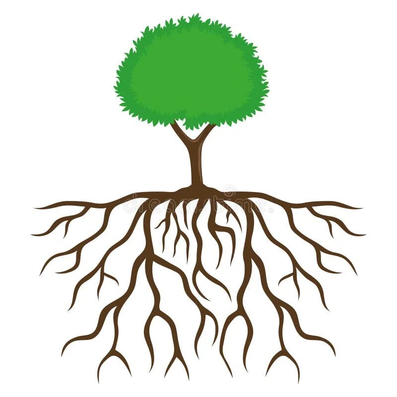Корни картинка для детей. Корневая система деревьев. Дерево с мощной корневой системой. Дерево с корнями для детей. Крона и корневая система дерева.