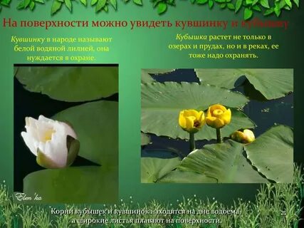 Почему кубышка стала недоступна