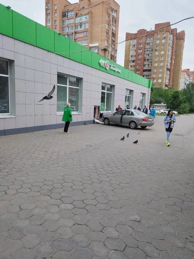 Псо старый оскол стелит. Псо старый оскол стелит