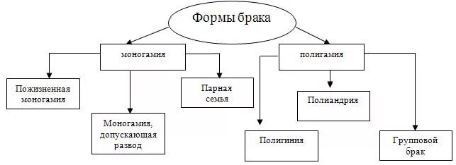 Классификация семьи по форме брака. Способы прекращения брака схема. Какие бывают формы брака. Виды брака схема. Виды брака.