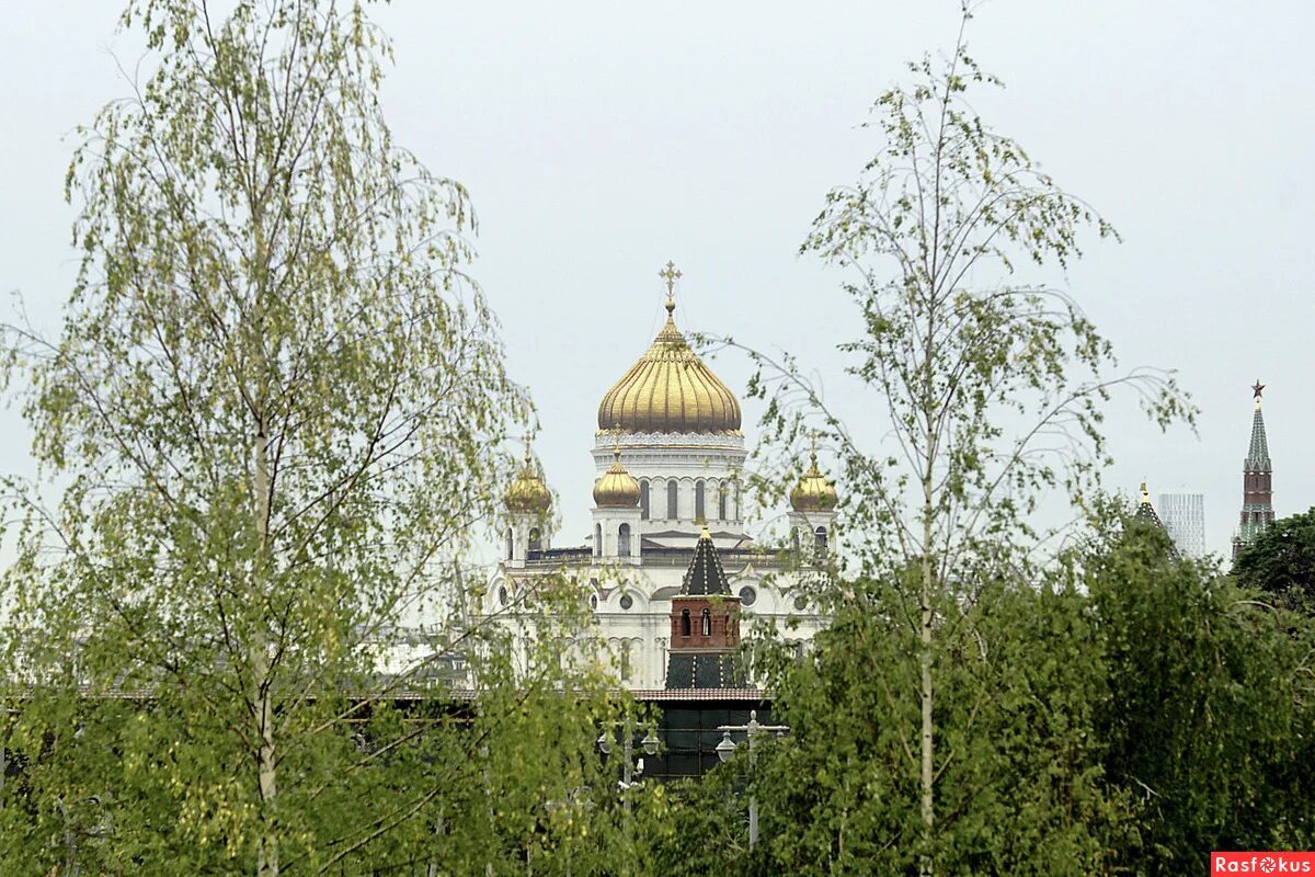 Дом культуры гэс 2 березовая роща. Гэс-2, парк с березами. Москва березово. Москва березово. Москва березово.