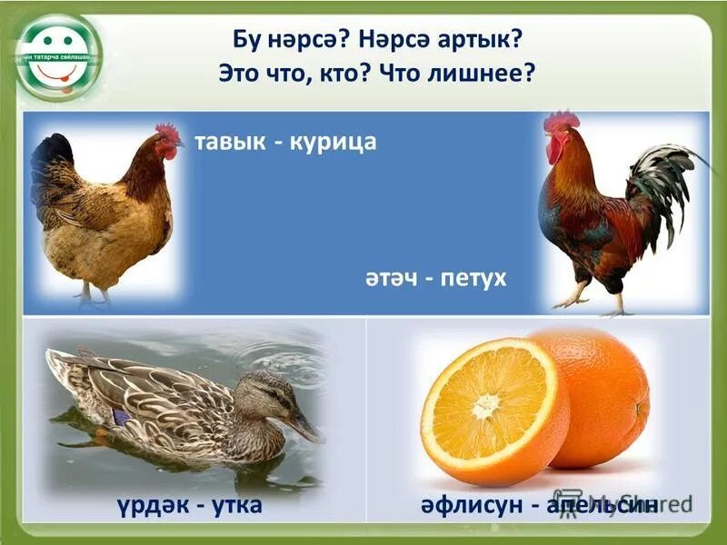 Скажи что лишнее. Что здесь лишнее. Скажи что лишнее. Скажи что лишнее. Скажи что лишнее.