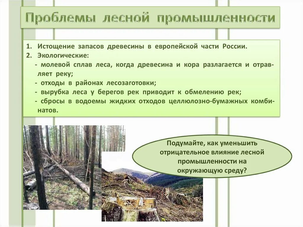 Проблемы лесной промышленности и пути их решения. Отрасли лесной промышленности 9 класс. лесная промышленностьросси. лесная промышленность россии. лесня промышленность росси.