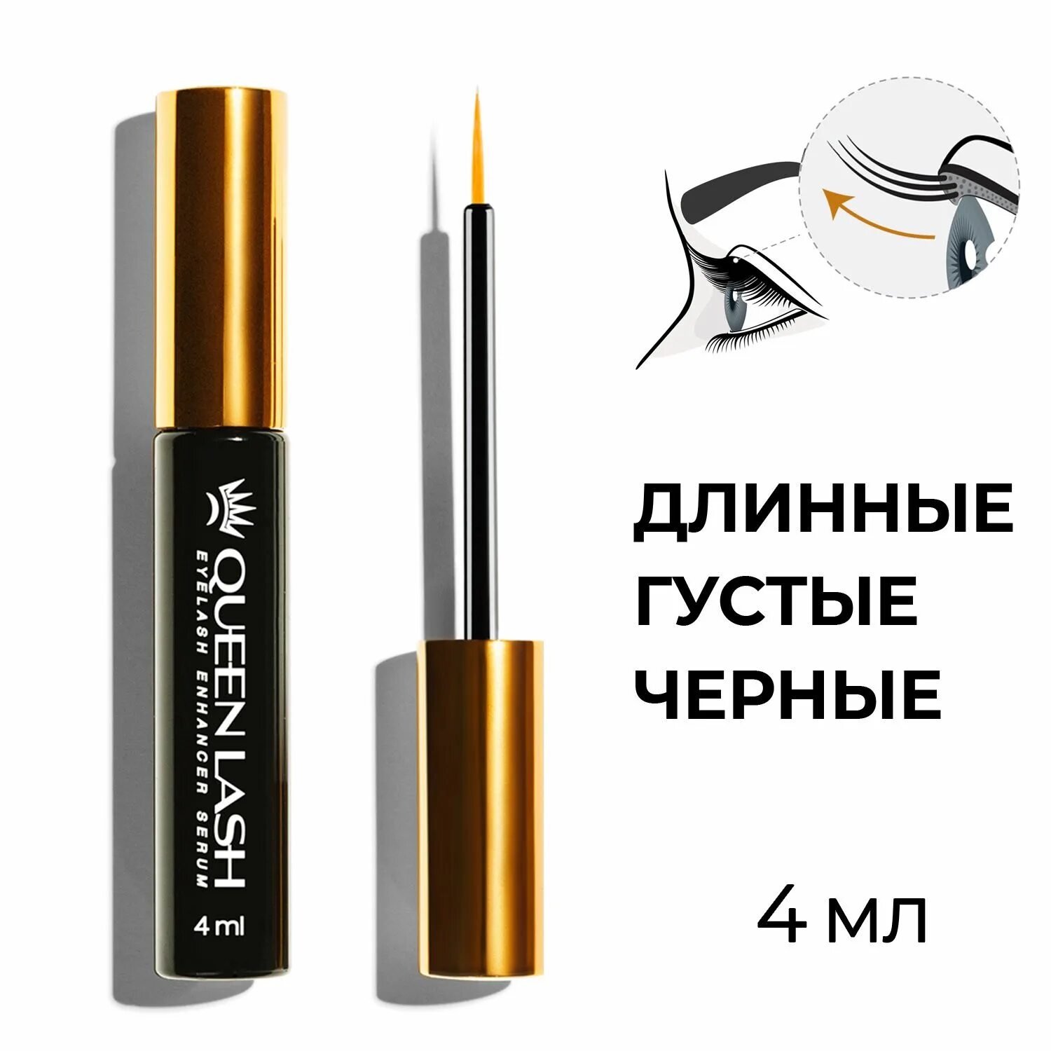 Queen lash