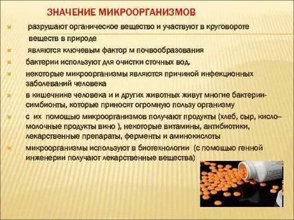 Роль органических веществ в жизни человека
