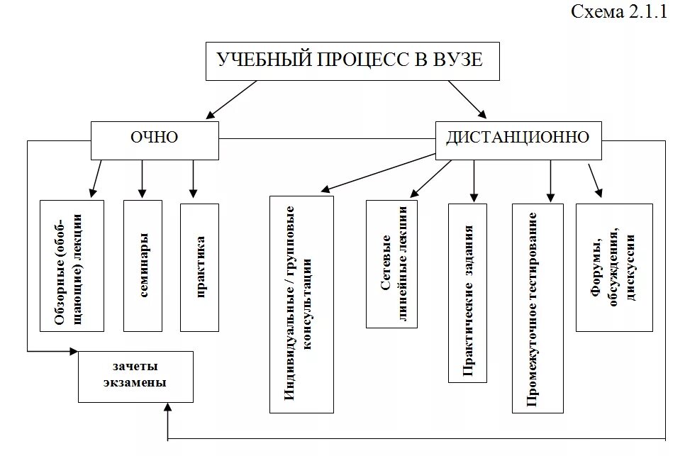 Учебный процесс в вузе схема. Схема организации учебного процесса в вузе. Структура образовательного процесса в вузе. Формы организации учебного процесса в вузе.