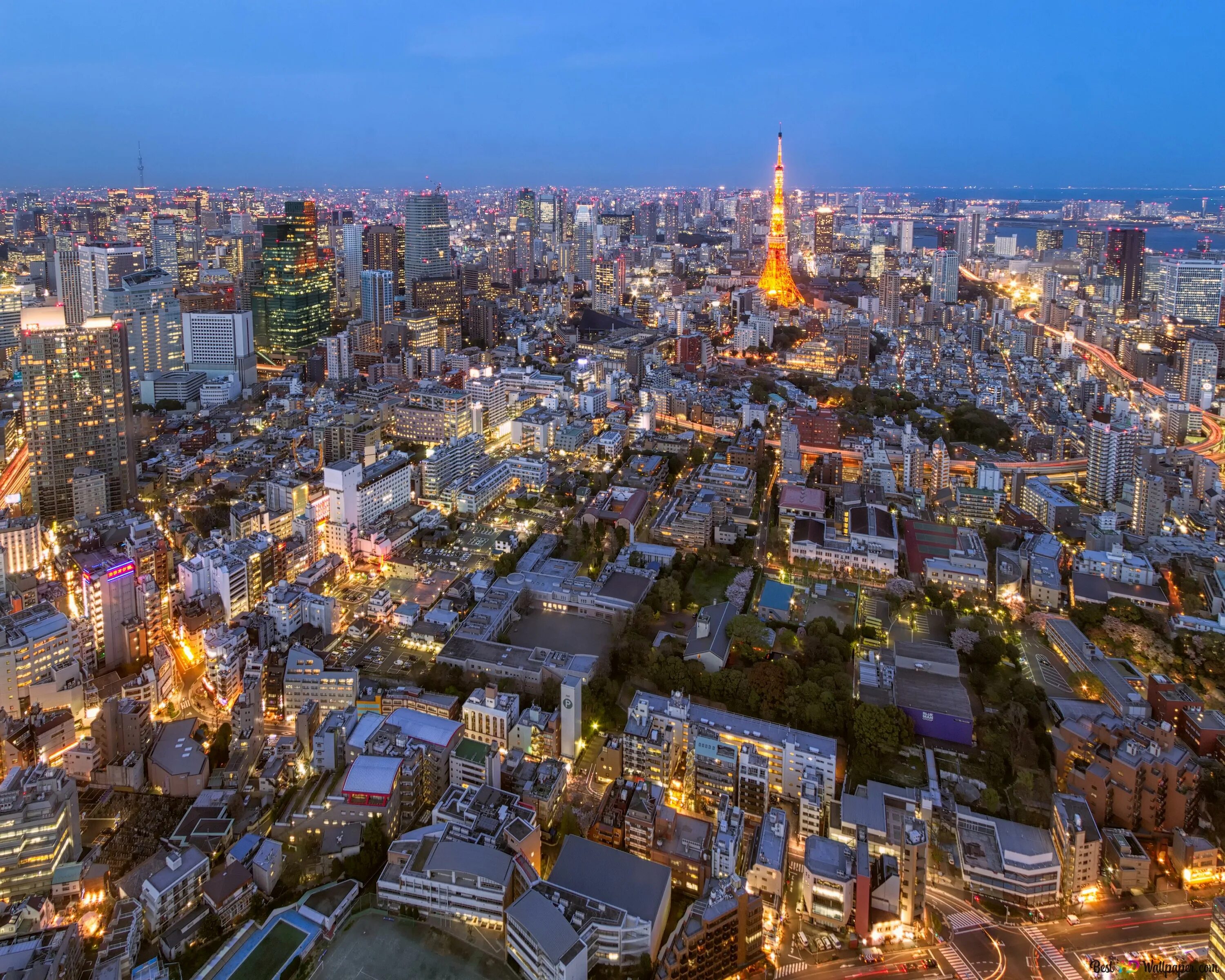 Tokio город. Вид на город. Tokyo full