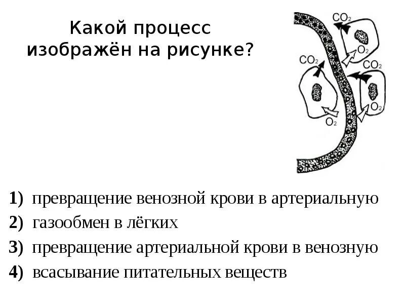 Процесс жизнедеятельности изображен на рисунке. Какой процесс изображен на рисунке?. На рисунке изображён процесс. Какой процесс изображен на картинке. Схема какого процесса изображена на рисунке.