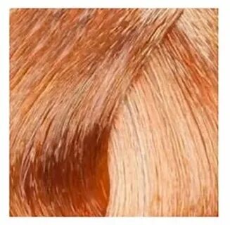 Couleur papillon