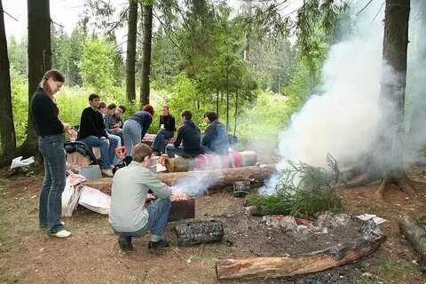 Шашлык в лесу