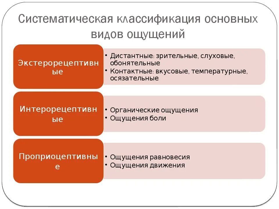 Свойства процесса ощущений. Классификация видов ощущений. Классификация основных видов ощущений. Общая характеристика ощущений. Классификации ощущений. Виды ощущений..