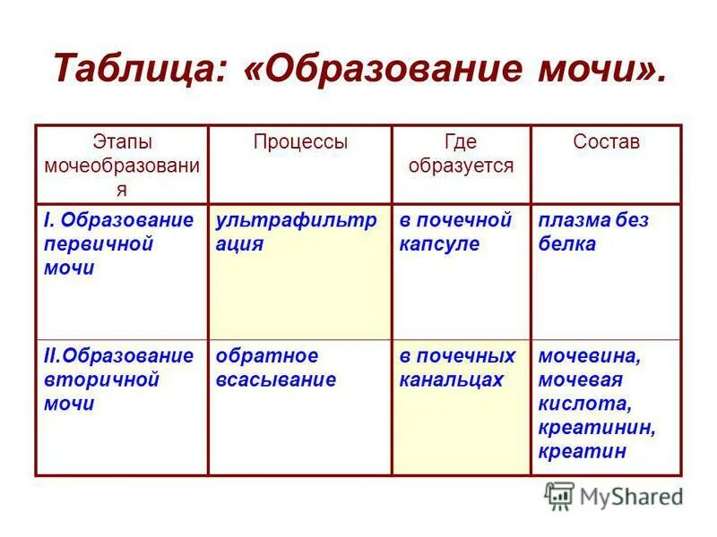 Изобразите схематично этапы образования мочи и процессы. Краткая схема образования мочи. Процессы фильтрации и образования мочи. Изобразите схематично этапы образования мочи и процессы. Этапы образования мочи схема.