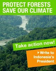 Protect forest