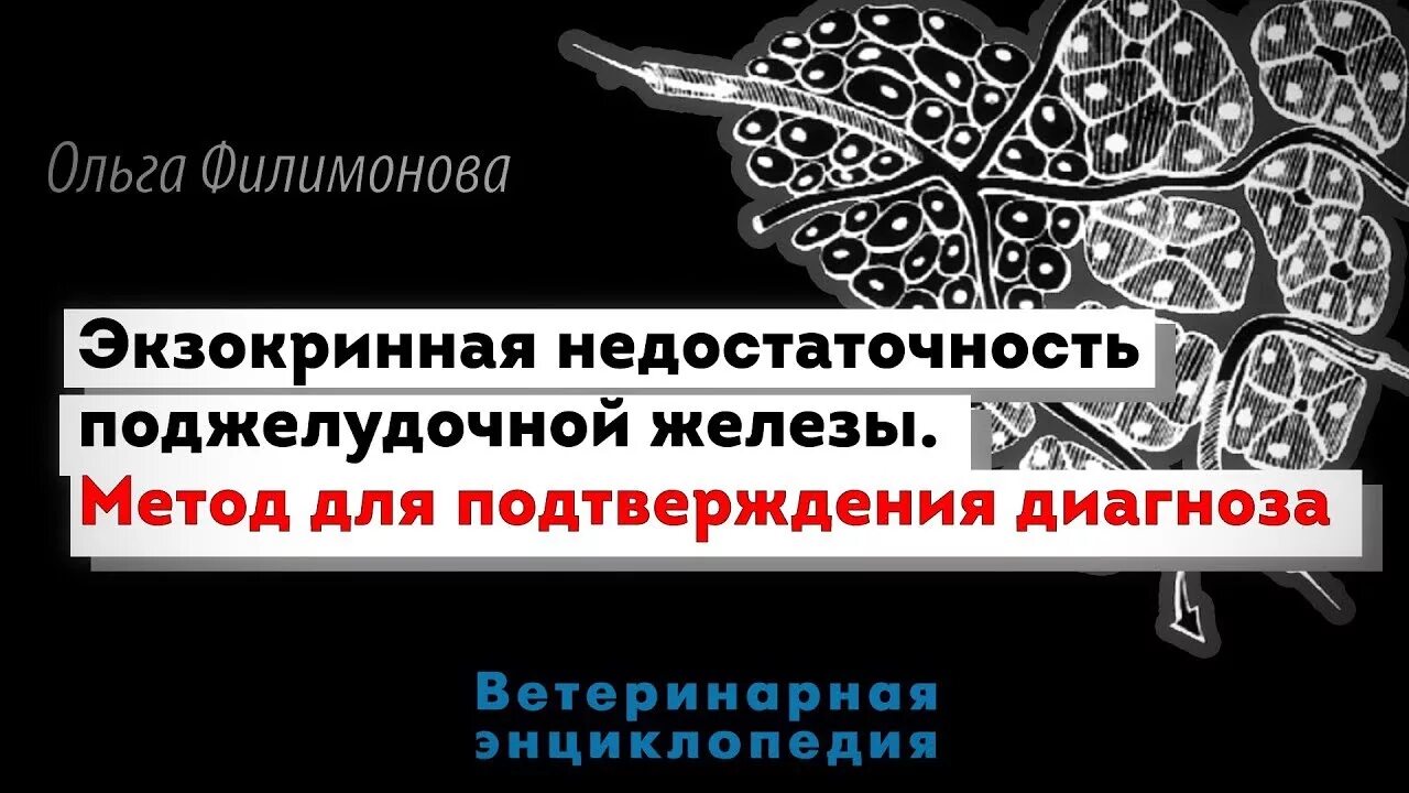 Недостаточность поджелудочной железы у собак. Недостаточность поджелудочной железы у собак. Экзокринная недостаточность поджелудочной собака. При нарушении экзокринной функции поджелудочной железы наблюдается. Экзокринная недостаточность поджелудочной железы у животных.