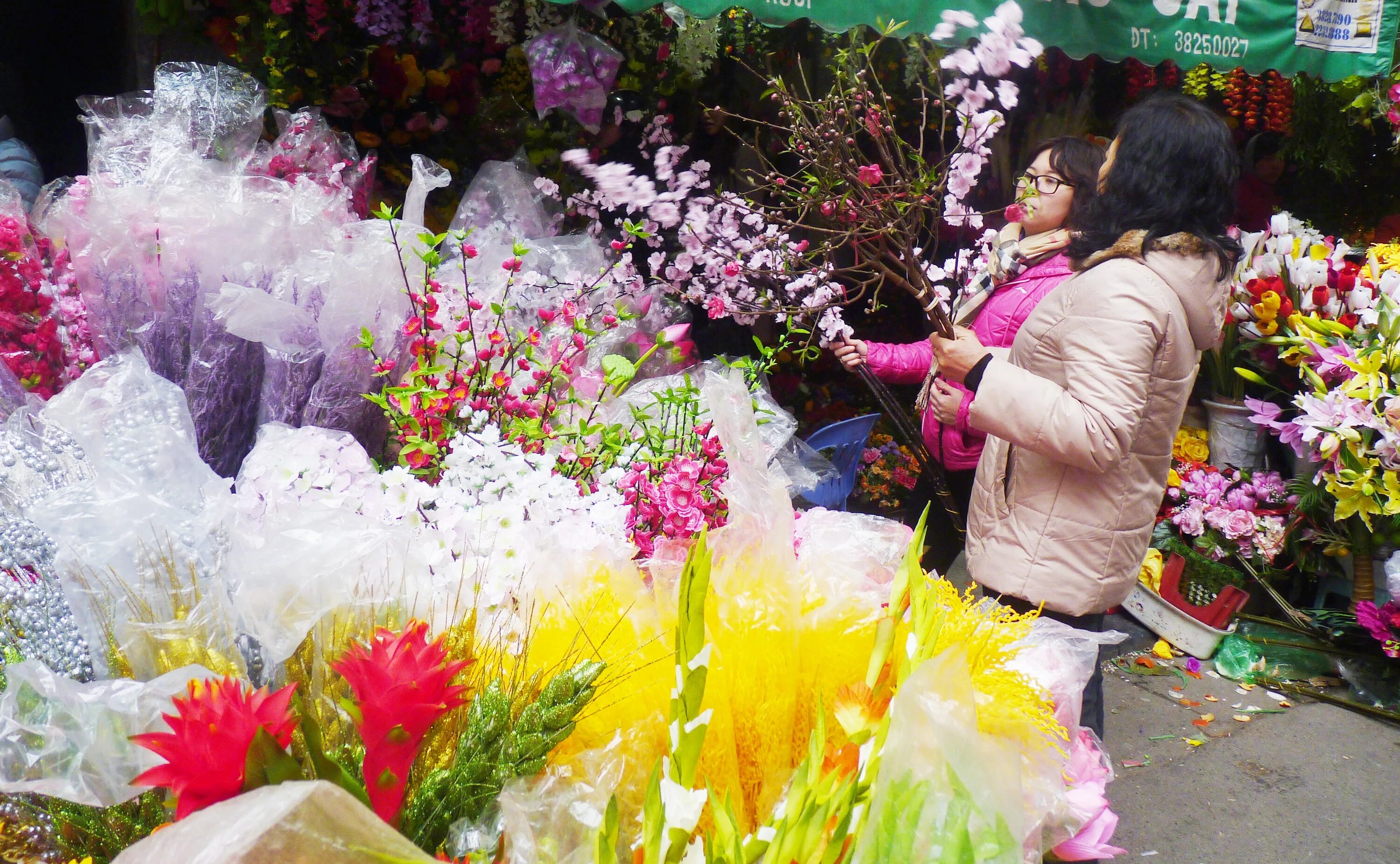 Hanoi цветы. Растение Ханое. Clone Hanoi цветок. Тет Вьетнам 2023 цветок. Ханы цветы