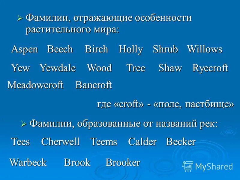 Фамилии отражающие. Происхождение фамилий людей. Фамилии отражающие. Фамилии связанные с особенностями внешности. История русских фамилий.