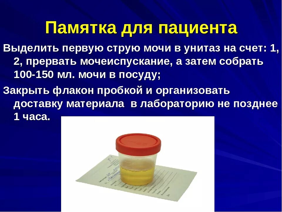 Оам по нечипоренко. Памятка по подготовке пациента к лабораторным методам исследования. Памятка для пациента по подготовке к лабораторным исследованиям. Подготовка пациента к лабораторным методам исследования мочи. Памятка для пациента по подготовке к лабораторным исследованиям мочи.