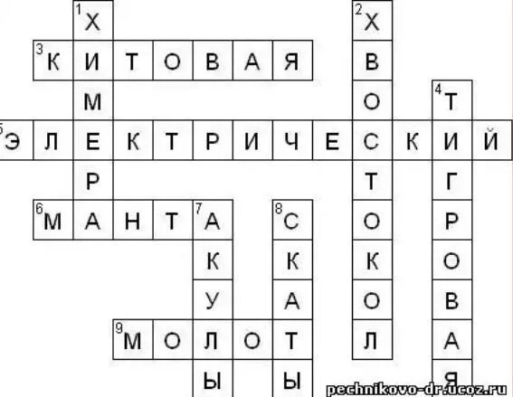 Ракообразные кроссворд 7 класс. Кроссворд по биологии 7 класс рыбы. кроссворд на тему хрящевые рыбы. кроссворд на тему рыбы. сканворд на тему хрящевые рыбы.