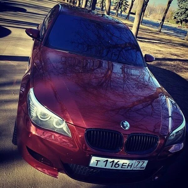 М5 тень. БМВ м5 е60 Давидыча. BMW e60 Давидыча.