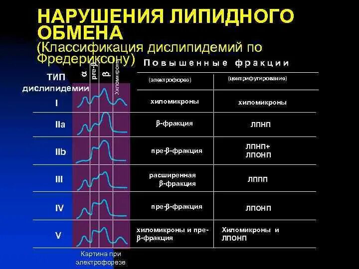 Нарушение липидного обмена. Виды нарушения липидного обмена. Патология липидного обмена. Классификация дислипидемий. Триглицериды повышены у мужчин лечение