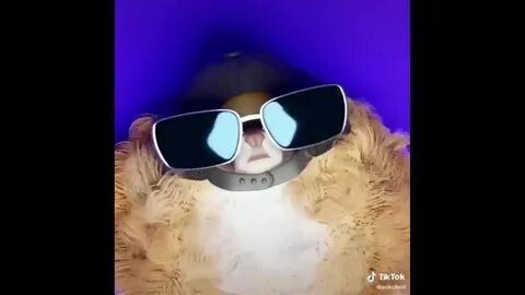 Это же тоник хочу новый айфончик песня