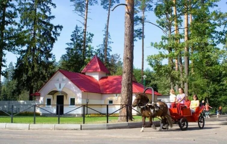 Санаторий снежка брянская цены. Снежка санаторий Брянск. Лагерь Снежка Брянск. Посёлок санаторий Снежка Брянск. Санаторий Домашово Брянская.