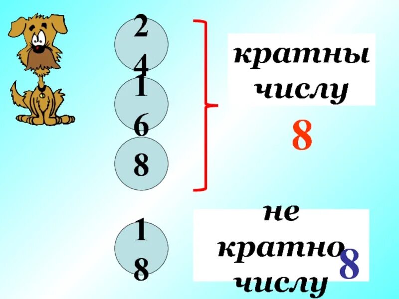 6 кратных чисел 8