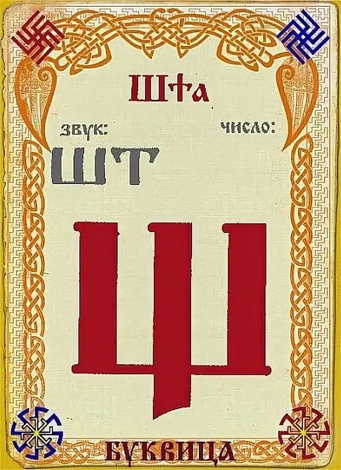 Буква старославянская и кроссворд обозначавшая звук. Буквица Славянская буква ш. Шта буквица Старославянская. Буква шта кириллица. Старославянская буква ша.