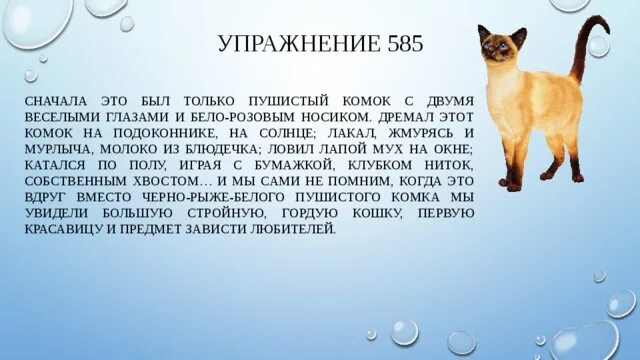 Изложение сначала это был только пушистый комок. Изложение кошка ю-ю. Сначала это был только пушистый комок с двумя весёлыми. Изложение ю-ю Куприн.