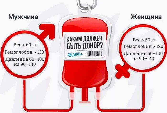 Сдача крови на донорство правила. После сдачи крови на донорство. В каком случае можно сдавать. Интервалы между донациями крови. Сдача крови на донорство правила.