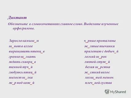 Время слова заросшая