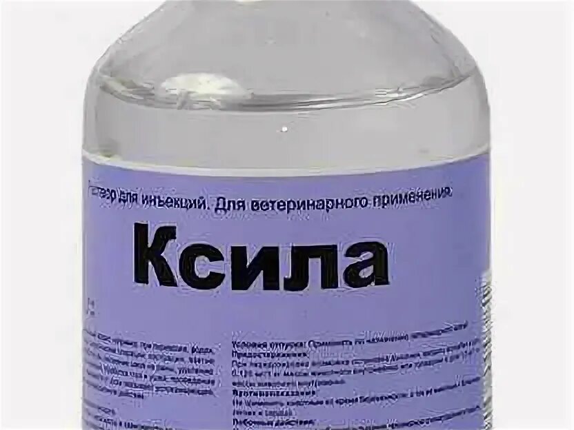 Что такое ксила лекарство. Ксила леска. Ксила препарат в ветеринарии. Ксила флак. Ксила 50 мл.