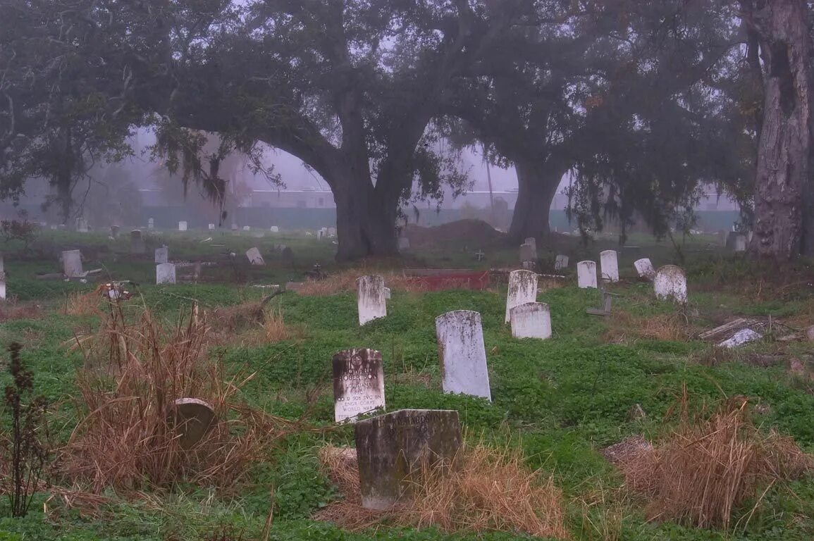 Черная краска graveyard. Кладбище в тумане. Кладбище Эстетика. Новый Орлеан кладбище.