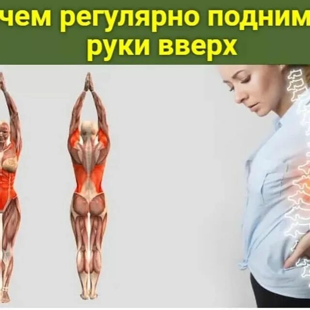 упражнение поднятие рук вверх. полезно поднимать руки. полезно поднимать руки. поднимать руки вверх полезно. поднятые руки вверх польза.